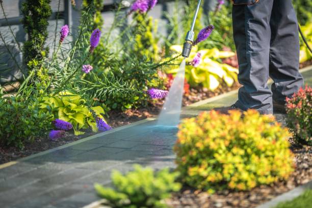 Best Post-Construction Pressure Washing  in Salina, UT